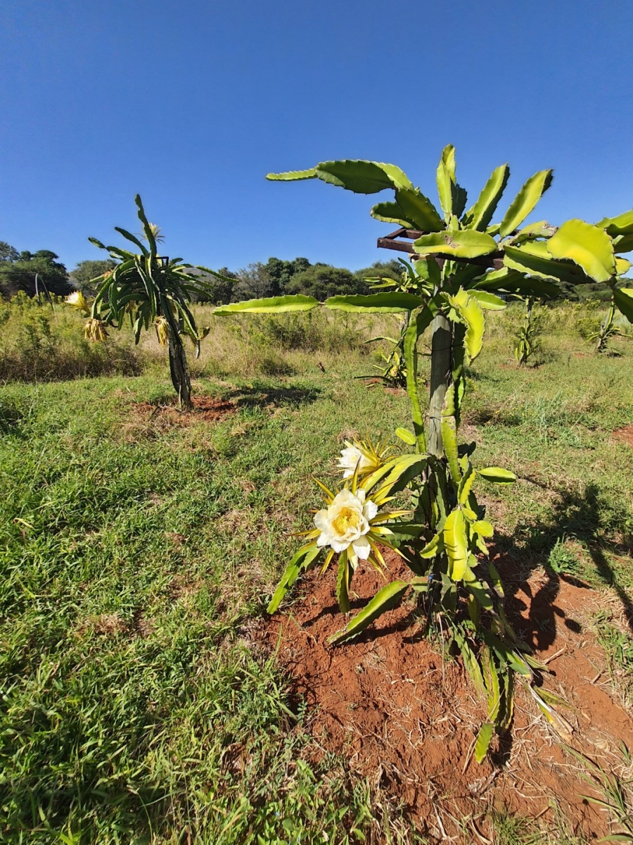  Bedroom Property for Sale in Hartbeespoort Rural North West